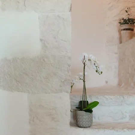 Fronte Valle * Cisternino